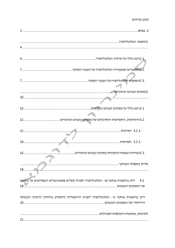 ניהול אסטרטגי - סמינריון לדוגמא